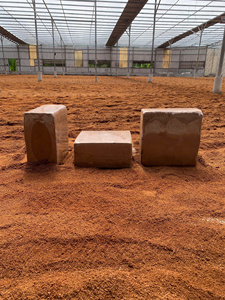 บล็อกใยมะพร้าวย่อยสลายได้สำหรับเพาะชำต้นไม้ในโรงเรือนปลูกพืชขายส่ง จาก ECO2GO เวียดนาม - Product Image 5