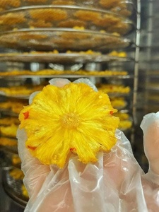 Anneaux d'ananas biologiques en gros avec du chili et du sel Emballage de haute qualité Sac de 1 kg Exportation Bon prix - Product Image 5