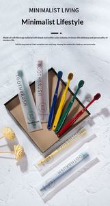 Kit dentaire d'hôtel écologique <span class=keywords><strong>et</strong></span> biodégradable avec brosse à dents <span class=keywords><strong>et</strong></span> dentifrice à manche en paille de blé pour restaurants <span class=keywords><strong>et</strong></span> voyages - Product Image 5