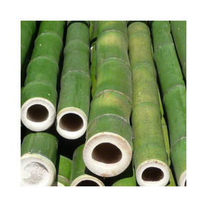 Bâtons et Poteaux en Bambou Écologiques en Gros, Matières Premières de Bambou, Vente Chaude, avec Service Personnalisé - Product Image 1