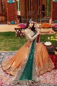 8. Robes de soirée élégantes pour femmes, tenues de mariage pakistanaises, brodées, ensemble 3 pièces, taille et couleurs personnalisées, mode traditionnelle - Product Image 4