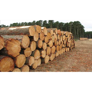 Troncos de Madera Blanda de Grado de Construcción, Material de Madera Resistente, Perfecto para Postes de Cercas, Soporte de Jardín y Estructuras Exteriores - Product Image 1