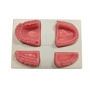 Modelo de Entrenamiento de Sutura Oral Dental, Kit de Práctica de Encías de Silicona Suave para Estudiantes de Hospitales y Veterinarios, Proveedor Mayorista - Product Image 6