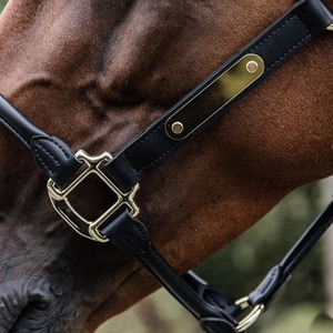 Cabestro de cuero para caballo, tipo polo, de diseño resistente para entrenamiento, manejo, control y uso diario en el cuidado ecuestre. - Product Image 4