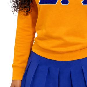 Sweat-shirt en chenille doré Sigma Gamma Rho pour femme, broderie de lettres grecques, mélange de coton, manches longues, coupe décontractée et élégante - Product Image 5