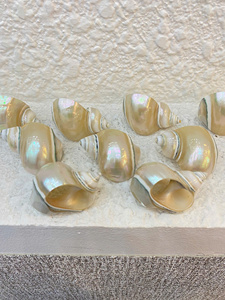 Anillo para Servilletas Hecho a Mano en Vietnam con Diseño de Caracol y Concha Marina, Porta Servilletas para Hotel, Banquete, Decoración de Mesa con Temática Oceánica - Product Image 3