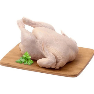 Pollo Entero Halal Congelado, de Primera Calidad, Alta Calidad, Bajo Precio, Aves Frescas, Carne de Pollo Entero Congelado - Product Image 1