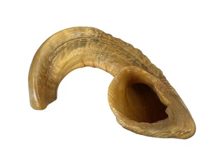 Cuerno de Shofar de Oveja Natural Pulido - Decoración Religiosa Ecológica para el Hogar de Alta Calidad - Product Image 1