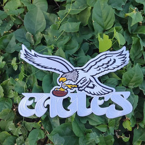 Parche Bordado de Chenilla de los Philadelphia Eagles para el Día del Partido de Fútbol Americano, Parches Termoadhesivos para Ropa - Product Image 6