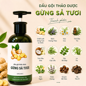 Shampoo liquide au gingembre frais et à la citronnelle |   Soins capillaires et du cuir chevelu bio anti-graisse pour cheveux gras – Vietnam - Product Image 1