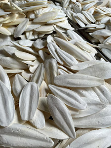Os de Seiche Séché du Vietnam de Qualité Supérieure pour Oiseaux, Perroquets, Petits Animaux – Source Naturelle de Calcium – Vente en Gros – Mme Tarina - Product Image 4
