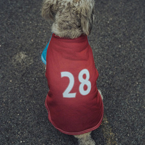 Custom Logo Premium Mesh Dog Dresses Soft Breathable Comfortable Sports Design All Seasons Small Medium - Product Image 3