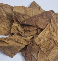 Feuilles à Rouler Naturelles Brunes et Vertes Coupées Parfaitement pour des Cigarettes Impeccables à Chaque Fois Sans OGM Goût Naturel Terreux