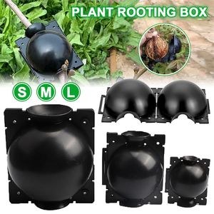 Dispositivo per innesto e radicazione piante ad alta pressione per giardinaggio - Product Image 2