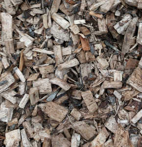 Suministro al por Mayor para la Industria del Papel: Virutas de Madera de Eucalipto y Acacia de 2-10mm de un Vendedor Austriaco Confiable a Precios Económicos - Product Image 3