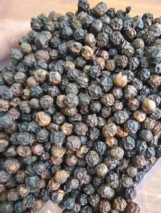 Raw Dried White Pepper and Coriander Seeds Whole Round Spices Vietnam GT7 Single Herbs &amp; Spices Variety - Product Image 2