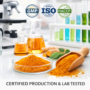 Extracto de Cúrcuma Orgánico en Polvo 95% Curcumina Curcuma Longa Extracto Herbal Ingrediente Nutracéutico Proveedor Mayorista Fabricante - Product Image 5