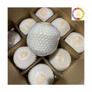 Coco Verde |   Tapa de fácil apertura |   Bebida Natural |   Ideal para la playa y eventos al aire libre |   Vietnam al por Mayor - Product Image 6