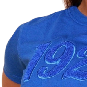 T-shirt en chenille bleu Zeta Phi Beta 1920 pour femme, chemise de sororité brodée, décontractée, élégante, tissu doux de qualité supérieure - Product Image 4