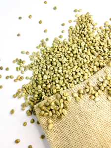 Raw <b>Robusta</b> <b>Coffee</b> <b>Beans</b> Natural Process S16/S18 - Export Quality Suitable For Roasting Origin Vietnam - Product Image 1