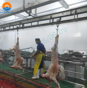 Machine d'abattage de chèvres, équipement d'abattage de moutons, abattoir de mouton à vendre, mini-équipement d'abattoir - Product Image 3