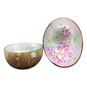 Juego de cuencos de cáscara de coco ecológico hecho a mano cuchara de cubiertos lacados de diseño moderno para postre de fiesta hecho en Vietnam - Product Image 1