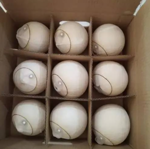 Vietnam Natural Sweet Coconut - Pull Tab Hidratación - Product Image 5