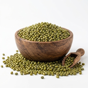 Frijoles de Bambú Verdes Naturales Premium, Legumbres de Alta Calidad, Frijoles Secos Saludables de Grado Alimenticio, Fabricante y Proveedor Mayorista para Exportación - Product Image 1