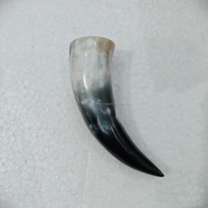 Cuerno para beber OX pequeño de alta calidad 100%, cuerno medieval pulido blanco corto, regalo herencia, al precio más bajo - Product Image 6