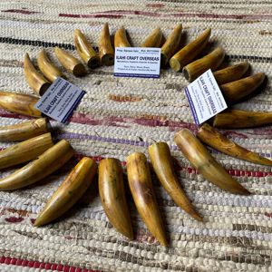 Cuerno de Búfalo Natural Ecológico, Pulido, con Punta Quemada, Rústico, para el Año Nuevo Chino, de Alta Calidad - Product Image 1