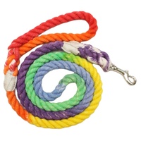 Luxe 5ft coton laisse pour animaux de compagnie Durable tressé corde d'escalade laisse de chien pour petits chiens moyens accessoires personnalisés