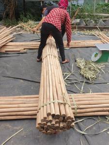 Postes de bambú natural de calidad de exportación | Proveedor y fabricante directo de fábrica de Vietnam - Product Image 4