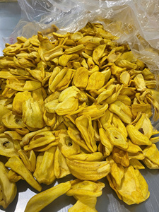 Assortiment de fruits secs mixtes OEM, emballés sous vide, assortiment tropical, mangue, jackfruit, banane, fruit du dragon, Vietnam - Product Image 1