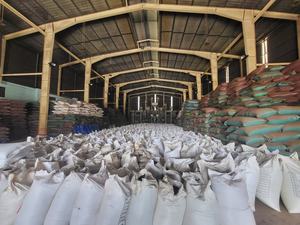 Pimienta Negra Seca Vietnamita de Alta Calidad 500 FAQ 500 MC 550 MC 5mm, Especias y Hierbas Individuales, Precio Razonable/ ANNA DO VILA - Product Image 3