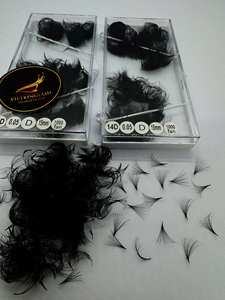 Extensions de cils pré-faits en éventail 14D, faciles à poser, naturelles et personnalisées, haute qualité, usage professionnel en salon, meilleures ventes Vietnam - Product Image 1