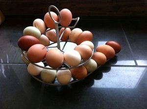 <b>Egg</b> <b>basket</b> modern kitchen storage solution durable metal <b>egg</b> holder <b>egg</b> rack stand counter top <b>egg</b> storage rack stylish - Product Image 5