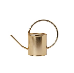 New Look Golden Finished Iron Watering Can for Outdoor Garden Farm <b>House</b> Plants Holder Easy Pour water Cans Handmade - Product Image 1