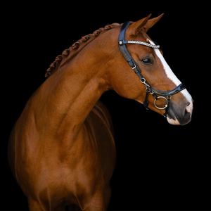 Brida para Caballo ALR EQUESTRIANS ALR-BR con Logotipo Personalizado, de Cuero Genuino Patentado de Alta Calidad, Duradera, Estilo Western - Product Image 3