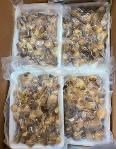 Hongos de paja congelados de alta calidad Hongos orgánicos y naturales procesados en Vietnam - Product Image 3