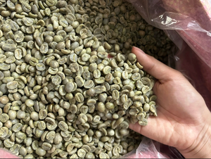 Granos de Café Verde Arábica Orgánico de Alta Calidad, Tamaño 18, Vietnam, Limpio, 0.1% Negro, Sin Roturas, Certificado USDA ISO 22000, TNFOOD AA+, a Granel - Product Image 4