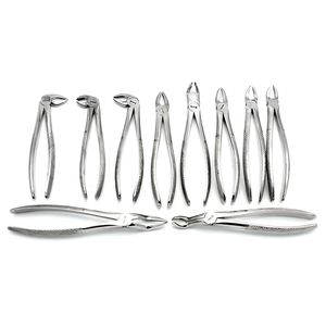 Ensemble de forceps d'extraction dentaire en acier inoxydable, kit d'instruments d'extraction dentaire par QASIDEN INSTRUMENTS - Product Image 5