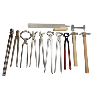 Kit d'outils professionnels pour fermeurs, en acier inoxydable, pour la coupe et l'entretien des sabots de cheval, équipement vétérinaire - Product Image 1
