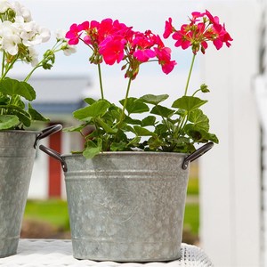 Ensemble de seaux élégants en métal galvanisé avec poignées en corde pour jardinières, décoration intérieure, forme ovale, finition durable - Product Image 4
