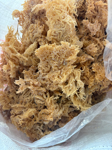 Algues Marines Séchées Naturelles Eucheuma Cottonii, Matière Première de Haute Qualité pour l'Extraction de Carraghénane - Product Image 5