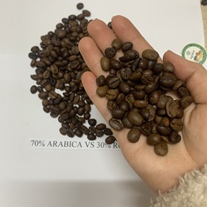 Nouvelle Offre Café Vert Robusta du Vietnam Importé Certifié ISO 22000 12,5% Humidité Maximale Durée de Conservation 2 Ans Approvisionnement en Gros - Product Image 6