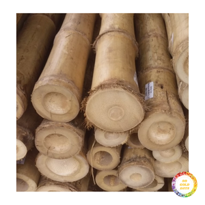 Bâtons de bambou polyvalents pour les projets de jardinage, la décoration intérieure et la construction, offrant une esthétique naturelle. - Product Image 4
