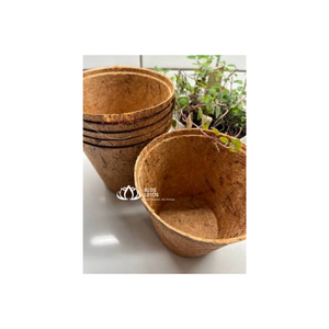 Maceta Ecológica Premium de Fibra de Coco Azul Lotus, Maceta Natural de Fibra de Cáscara de Coco para Plántulas de Vivero, Venta al por Mayor y Exportación - Product Image 1