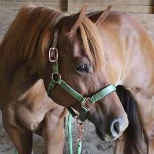 Corde de trelage tressée personnalisable de qualité supérieure avec mousqueton métallique renforcé, corde souple et résistante pour le contrôle du cheval et les séances d'entraînement d'équitation - Product Image 5