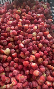Fraises congelées du Vietnam IQF en vrac, fruits naturels pour usage industriel - Mme Tarina - Product Image 3
