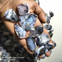 Cabochons en Agate Dendritique Naturelle Certifiée par des Tiers de Haute Qualité, Formes Mixtes, 20-45mm, 8-12g, Pierres Précieuses pour Bijoux